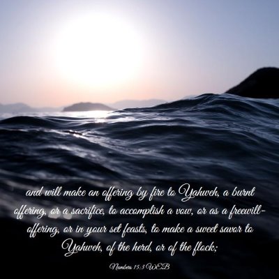 Picture 03 - Numbers 15:3 WEB - and will make an offering by fire to Yahweh, a - Bible Verse Picture