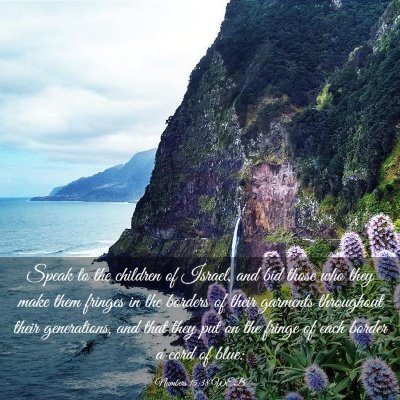 Picture 03 - Numbers 15:38 WEB - Speak to the children of Israel, and bid those - Bible Verse Picture