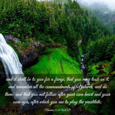 Picture 03 - Numbers 15:39 WEB - and it shall be to you for a fringe, that you may - Bible Verse Picture