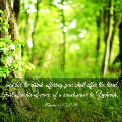 Picture 03 - Numbers 15:7 WEB - and for the drink-offering you shall offer the - Bible Verse Picture