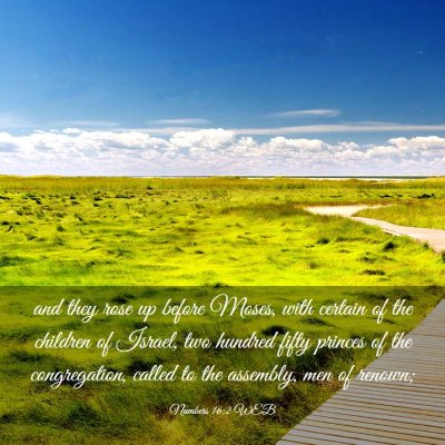 Picture 03 - Numbers 16:2 WEB - and they rose up before Moses, with certain of - Bible Verse Picture