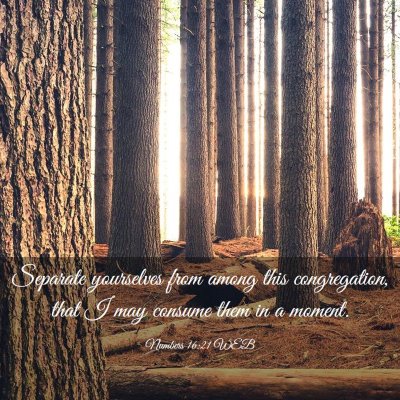 Picture 03 - Numbers 16:21 WEB - Separate yourselves from among this congregation, - Bible Verse Picture