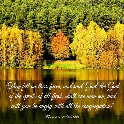 Picture 03 - Numbers 16:22 WEB - They fell on their faces, and said, God, the God - Bible Verse Picture