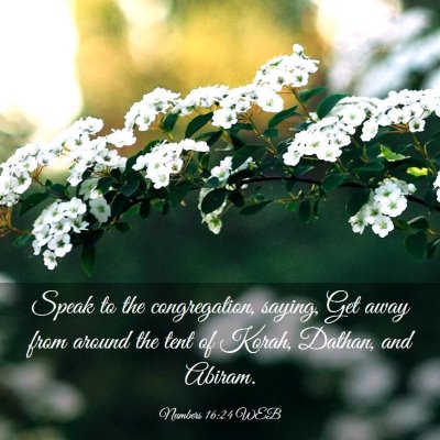 Picture 03 - Numbers 16:24 WEB - Speak to the congregation, saying, Get away from - Bible Verse Picture
