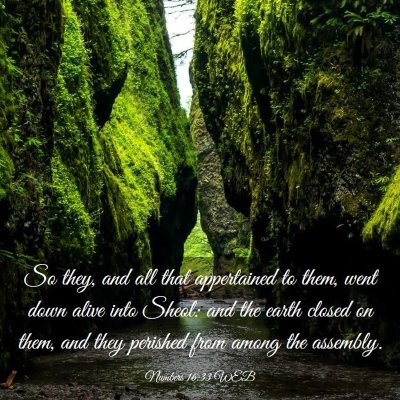 Picture 03 - Numbers 16:33 WEB - So they, and all that appertained to them, went - Bible Verse Picture