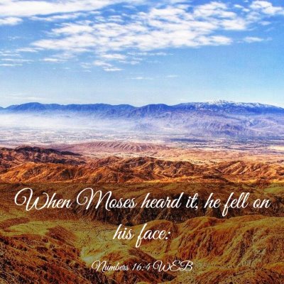 Picture 03 - Numbers 16:4 WEB - When Moses heard it, he fell on his - Bible Verse Picture