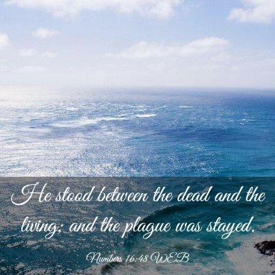 Picture 03 - Numbers 16:48 WEB - He stood between the dead and the living; and the - Bible Verse Picture