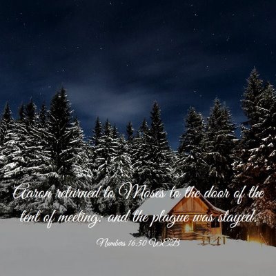 Picture 03 - Numbers 16:50 WEB - Aaron returned to Moses to the door of the tent - Bible Verse Picture