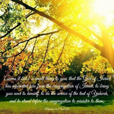 Picture 03 - Numbers 16:9 WEB - [seems it but] a small thing to you, that the God - Bible Verse Picture