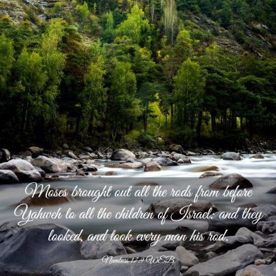 Picture 03 - Numbers 17:9 WEB - Moses brought out all the rods from before Yahweh - Bible Verse Picture