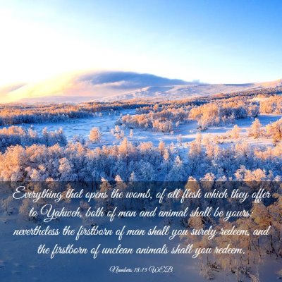 Picture 03 - Numbers 18:15 WEB - Everything that opens the womb, of all flesh - Bible Verse Picture