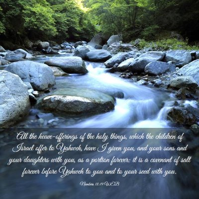 Picture 03 - Numbers 18:19 WEB - All the heave-offerings of the holy things, which - Bible Verse Picture