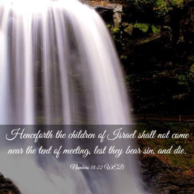 Picture 03 - Numbers 18:22 WEB - Henceforth the children of Israel shall not come - Bible Verse Picture