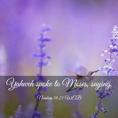 Picture 03 - Numbers 18:25 WEB - Yahweh spoke to Moses, - Bible Verse Picture