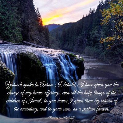 Picture 03 - Numbers 18:8 WEB - Yahweh spoke to Aaron, I, behold, I have given - Bible Verse Picture