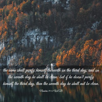 Picture 03 - Numbers 19:12 WEB - the same shall purify himself therewith on the - Bible Verse Picture