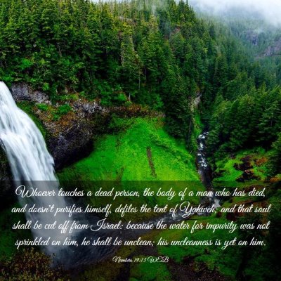 Picture 03 - Numbers 19:13 WEB - Whoever touches a dead person, the body of a man - Bible Verse Picture