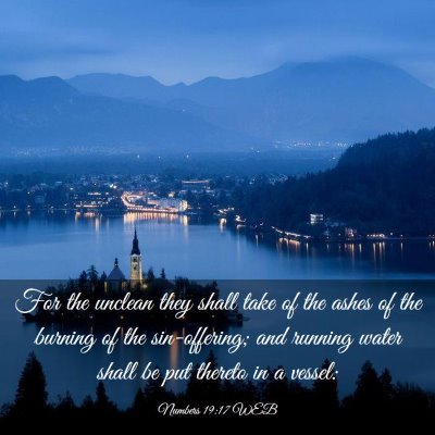 Picture 03 - Numbers 19:17 WEB - For the unclean they shall take of the ashes of - Bible Verse Picture