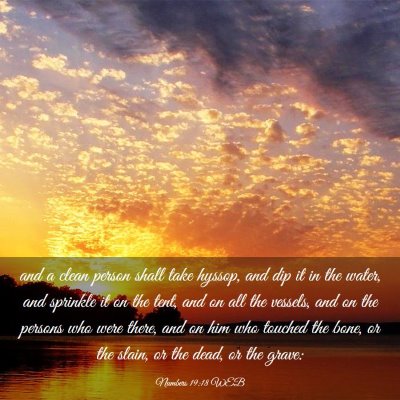 Picture 03 - Numbers 19:18 WEB - and a clean person shall take hyssop, and dip it - Bible Verse Picture
