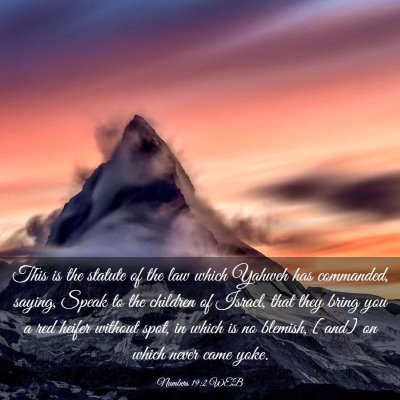 Picture 03 - Numbers 19:2 WEB - This is the statute of the law which Yahweh has - Bible Verse Picture