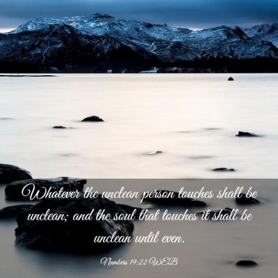 Picture 03 - Numbers 19:22 WEB - Whatever the unclean person touches shall be - Bible Verse Picture