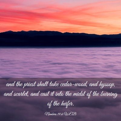 Picture 03 - Numbers 19:6 WEB - and the priest shall take cedar-wood, and hyssop, - Bible Verse Picture