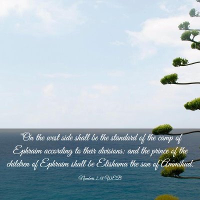 Picture 03 - Numbers 2:18 WEB - 