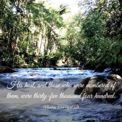 Picture 03 - Numbers 2:23 WEB - His host, and those who were numbered of them, - Bible Verse Picture