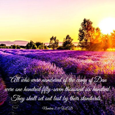 Picture 03 - Numbers 2:31 WEB - 