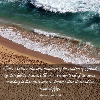 Picture 03 - Numbers 2:32 WEB - These are those who were numbered of the children - Bible Verse Picture