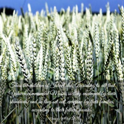 Picture 03 - Numbers 2:34 WEB - Thus the children of Israel did. According to all - Bible Verse Picture