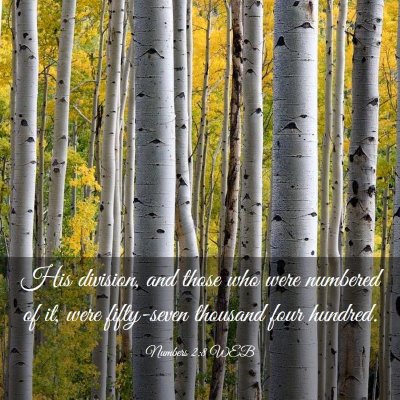 Picture 03 - Numbers 2:8 WEB - His division, and those who were numbered of it, - Bible Verse Picture