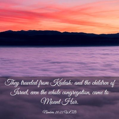 Picture 03 - Numbers 20:22 WEB - They traveled from Kadesh: and the children of - Bible Verse Picture