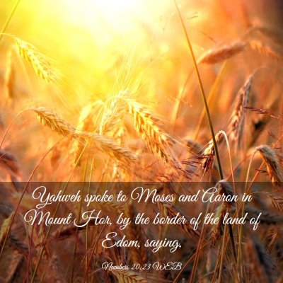 Picture 03 - Numbers 20:23 WEB - Yahweh spoke to Moses and Aaron in Mount Hor, by - Bible Verse Picture