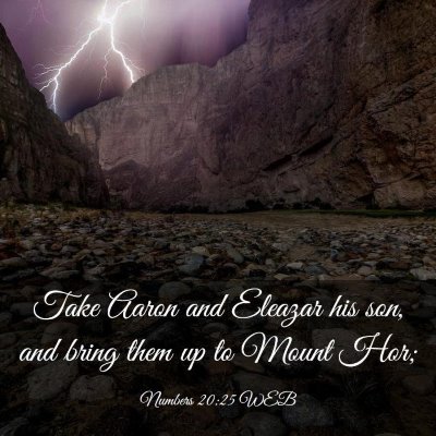 Picture 03 - Numbers 20:25 WEB - Take Aaron and Eleazar his son, and bring them up - Bible Verse Picture