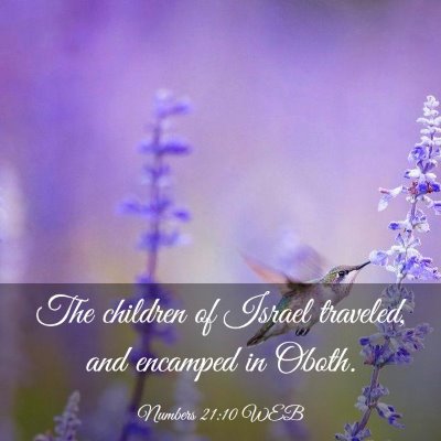Picture 03 - Numbers 21:10 WEB - The children of Israel traveled, and encamped in - Bible Verse Picture
