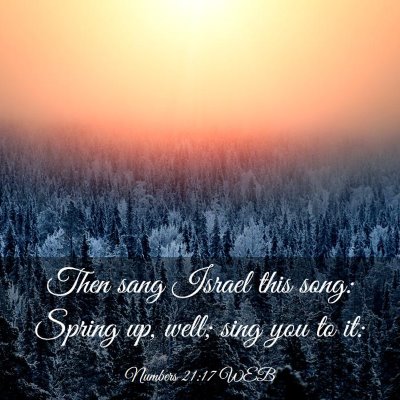 Picture 03 - Numbers 21:17 WEB - Then sang Israel this song: Spring up, well; sing - Bible Verse Picture