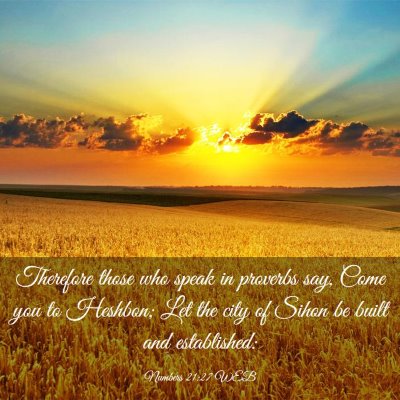 Picture 03 - Numbers 21:27 WEB - Therefore those who speak in proverbs say, Come - Bible Verse Picture