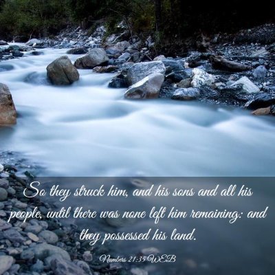Picture 03 - Numbers 21:35 WEB - So they struck him, and his sons and all his - Bible Verse Picture