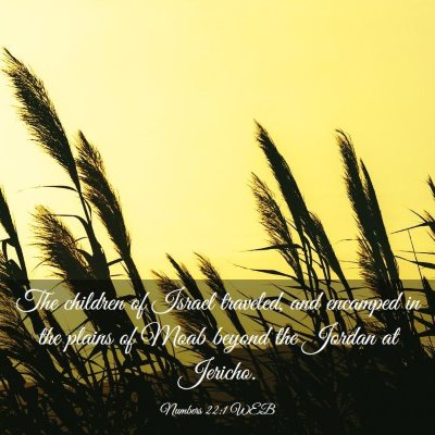Picture 03 - Numbers 22:1 WEB - The children of Israel traveled, and encamped in - Bible Verse Picture