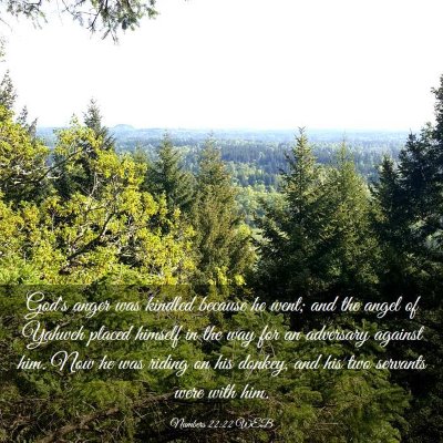 Picture 03 - Numbers 22:22 WEB - God's anger was kindled because he went; and the - Bible Verse Picture