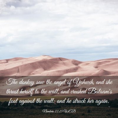 Picture 03 - Numbers 22:25 WEB - The donkey saw the angel of Yahweh, and she - Bible Verse Picture