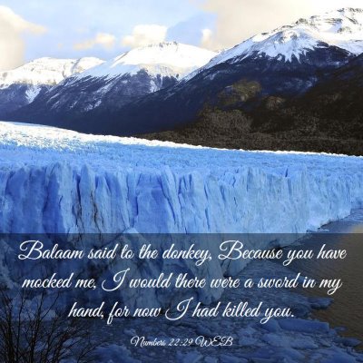 Picture 03 - Numbers 22:29 WEB - Balaam said to the donkey, Because you have - Bible Verse Picture
