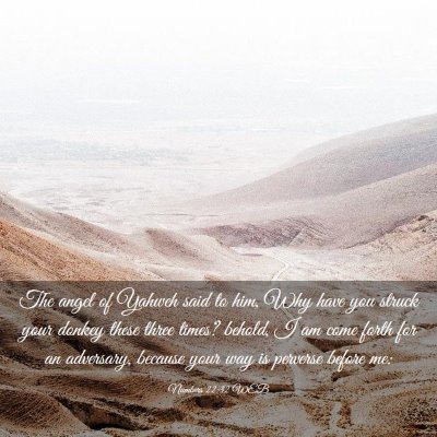Picture 03 - Numbers 22:32 WEB - The angel of Yahweh said to him, Why have you - Bible Verse Picture