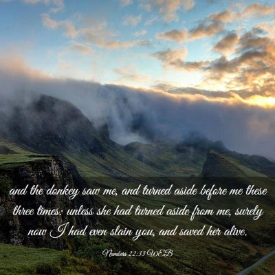 Picture 03 - Numbers 22:33 WEB - and the donkey saw me, and turned aside before me - Bible Verse Picture