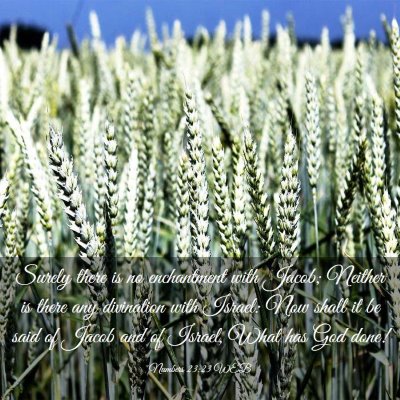 Picture 03 - Numbers 23:23 WEB - Surely there is no enchantment with Jacob; - Bible Verse Picture