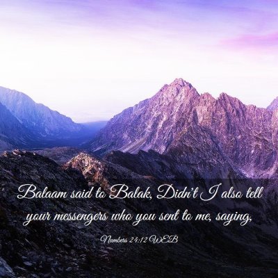 Picture 03 - Numbers 24:12 WEB - Balaam said to Balak, Didn't I also tell your - Bible Verse Picture