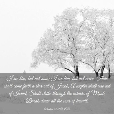 Picture 03 - Numbers 24:17 WEB - I see him, but not now; I see him, but not near: - Bible Verse Picture