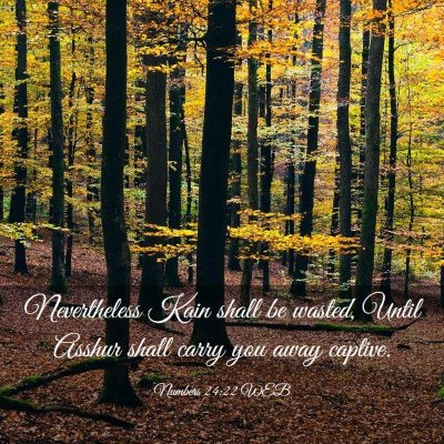 Picture 03 - Numbers 24:22 WEB - Nevertheless Kain shall be wasted, Until Asshur - Bible Verse Picture
