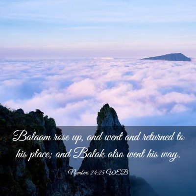 Picture 03 - Numbers 24:25 WEB - Balaam rose up, and went and returned to his - Bible Verse Picture